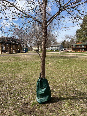 Tree Watering Bag